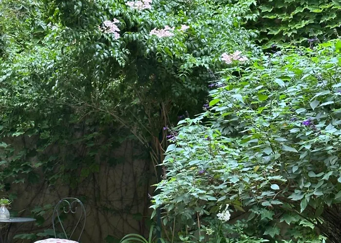 Le Logis Blanc Bed&Breakfast